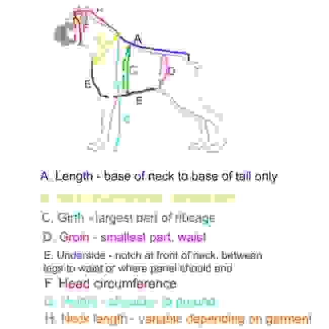 Custom Dog Clothes Made by De Made by De